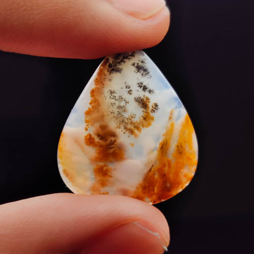 Dendritic Agate