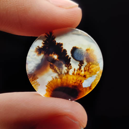 Scenic Agate