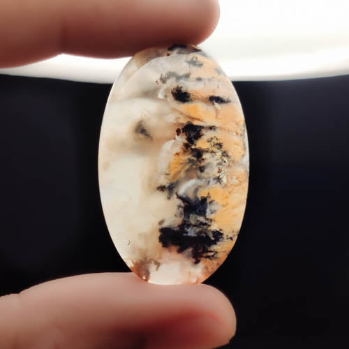 Dendritic Agate