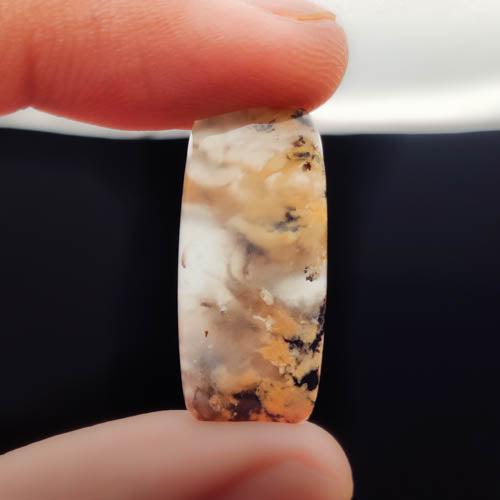 Dendritic Agate
