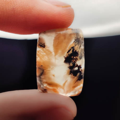 Dendritic Agate