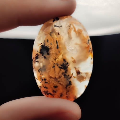 Dendritic Agate