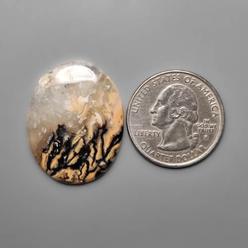 Dendritic Agate