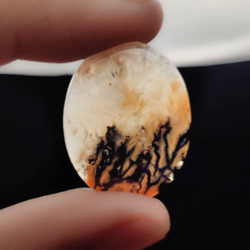 Dendritic Agate