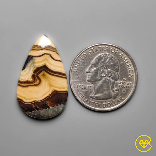 Schalenblende