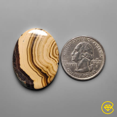 Schalenblende