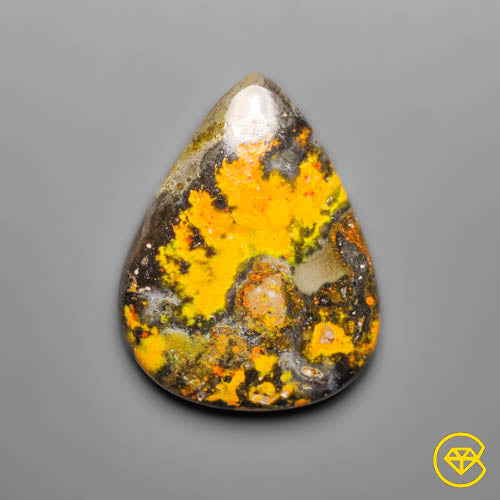 Bumble Bee Jasper