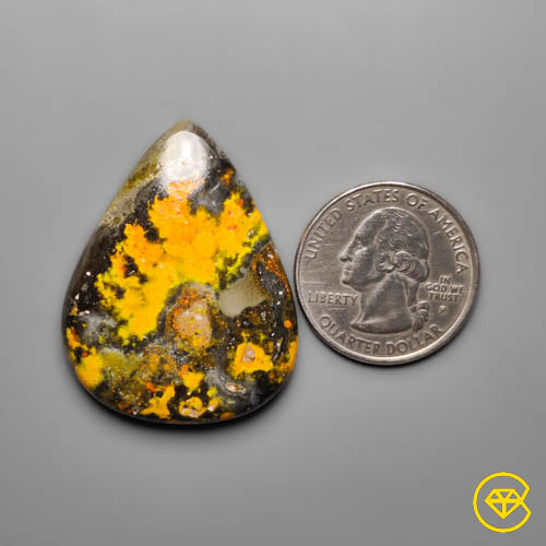Bumble Bee Jasper