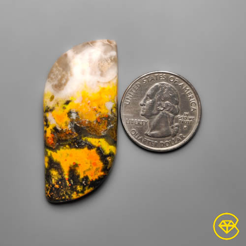 Bumble Bee Jasper