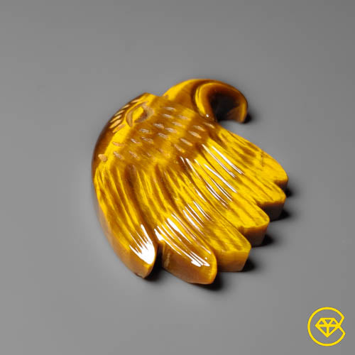 Tiger Eye