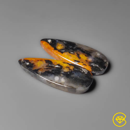 Palmroot Agate