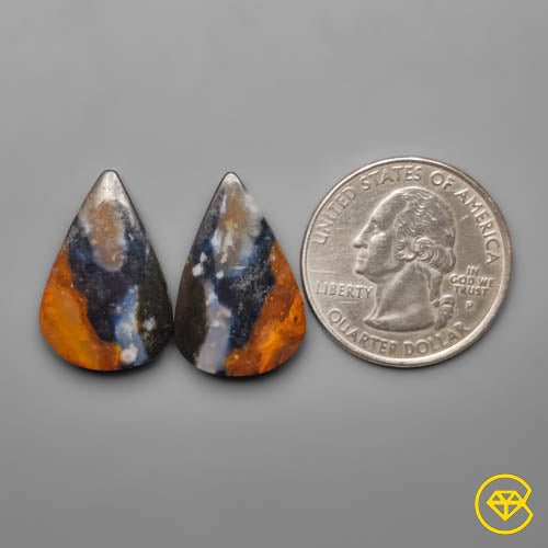 Palmroot Agate