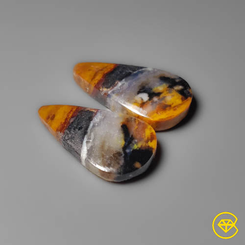 Palmroot Agate