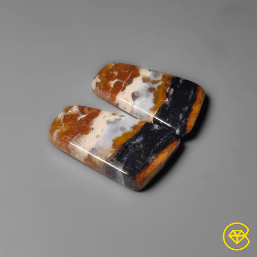 Palmroot Agate