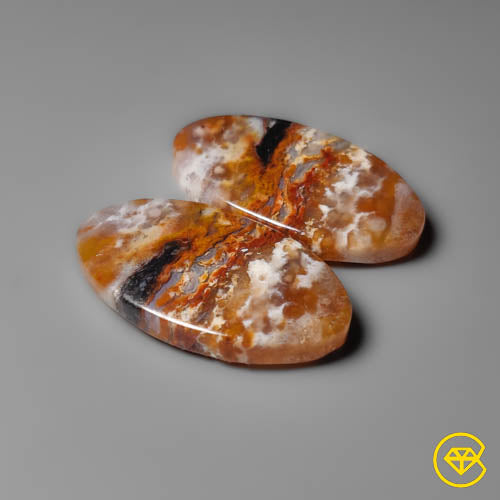 Palmroot Agate
