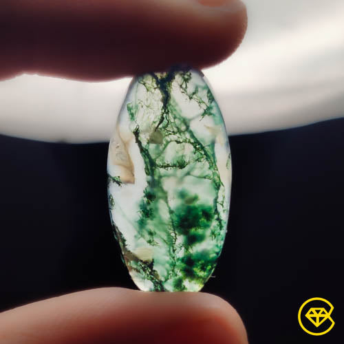 Moss Agate