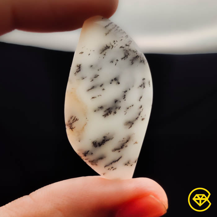 Dendritic Agate