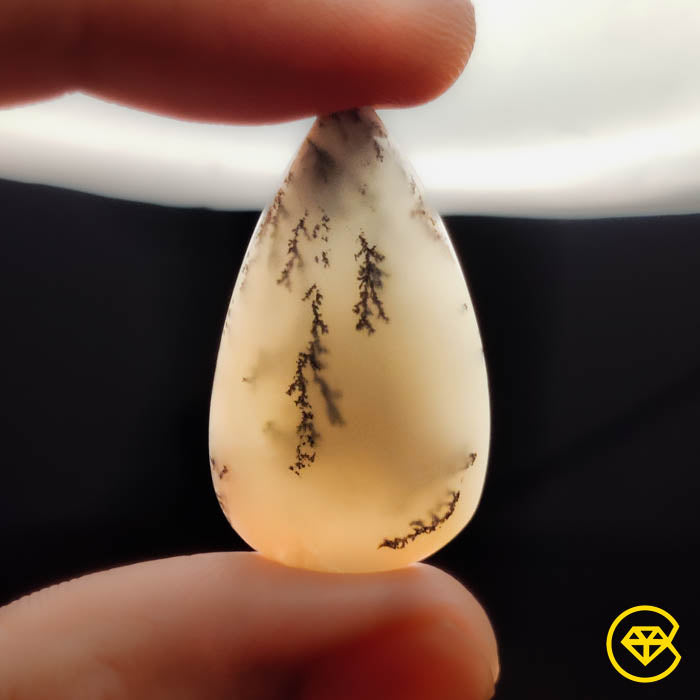 Dendritic Agate