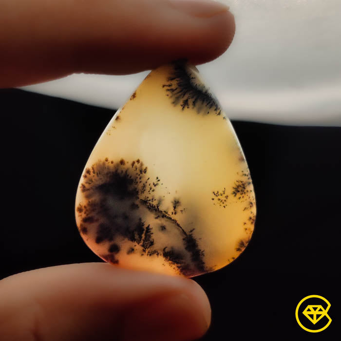Dendritic Agate