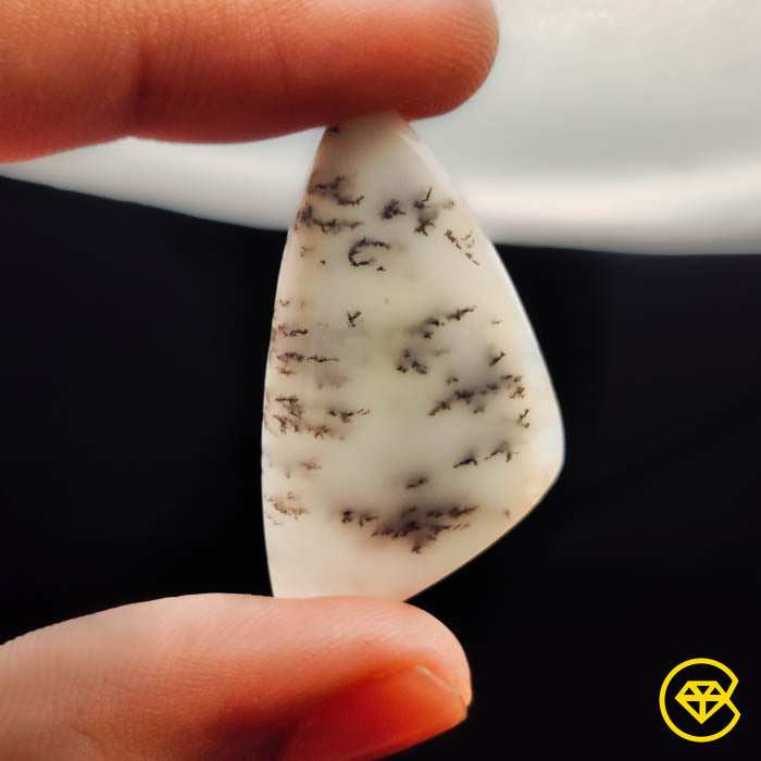 Dendritic Agate