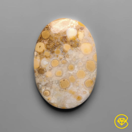 Cobra Jasper