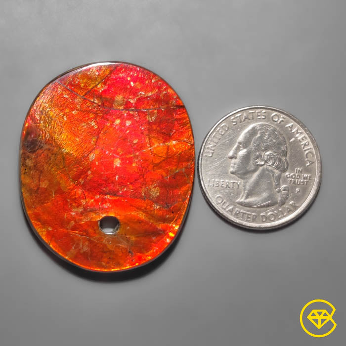Ammolite