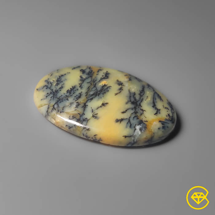 Dendritic Agate