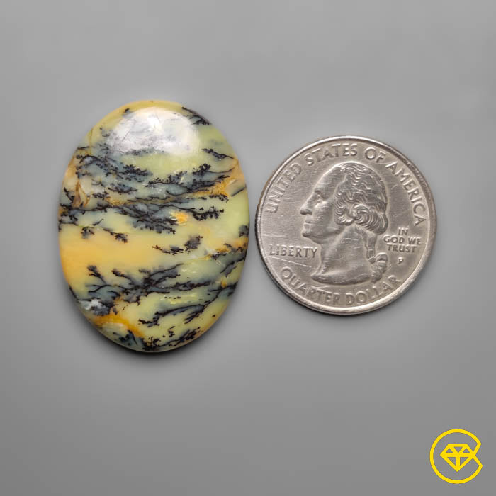 Dendritic Agate