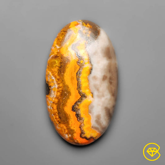 Bumble Bee Jasper
