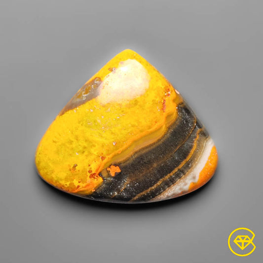 Bumble Bee Jasper