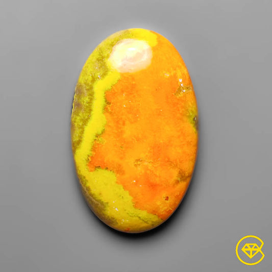 Bumble Bee Jasper