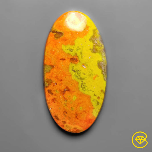 Bumble Bee Jasper