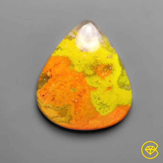 Bumble Bee Jasper