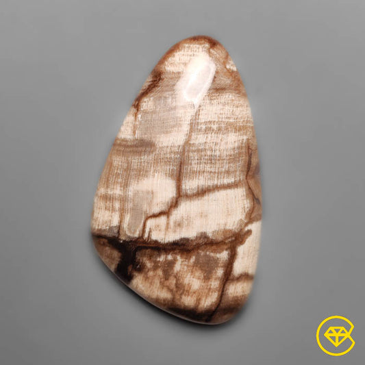 Petrified Wood