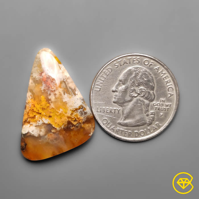 Plume Agate