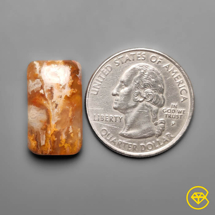 Plume Agate