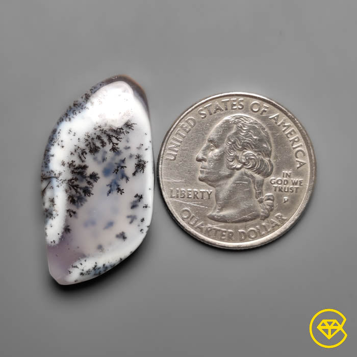 Dendritic Agate