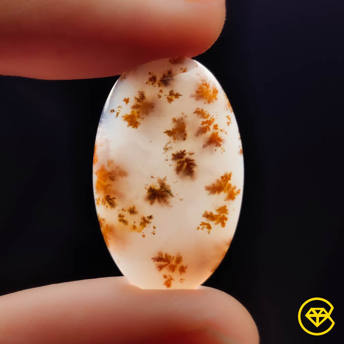 Dendritic Agate
