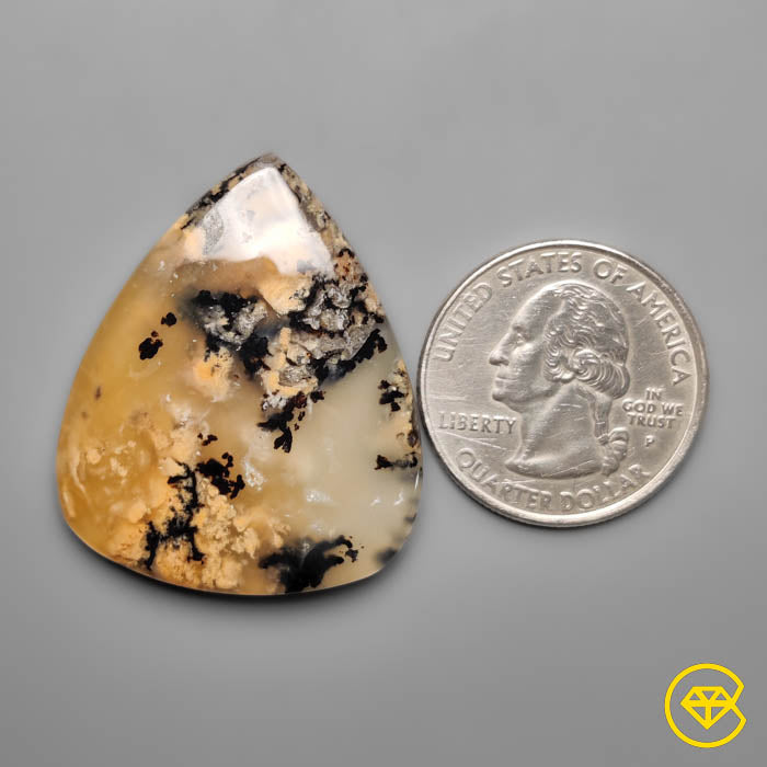 Dendritic Agate