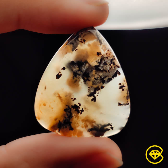Dendritic Agate