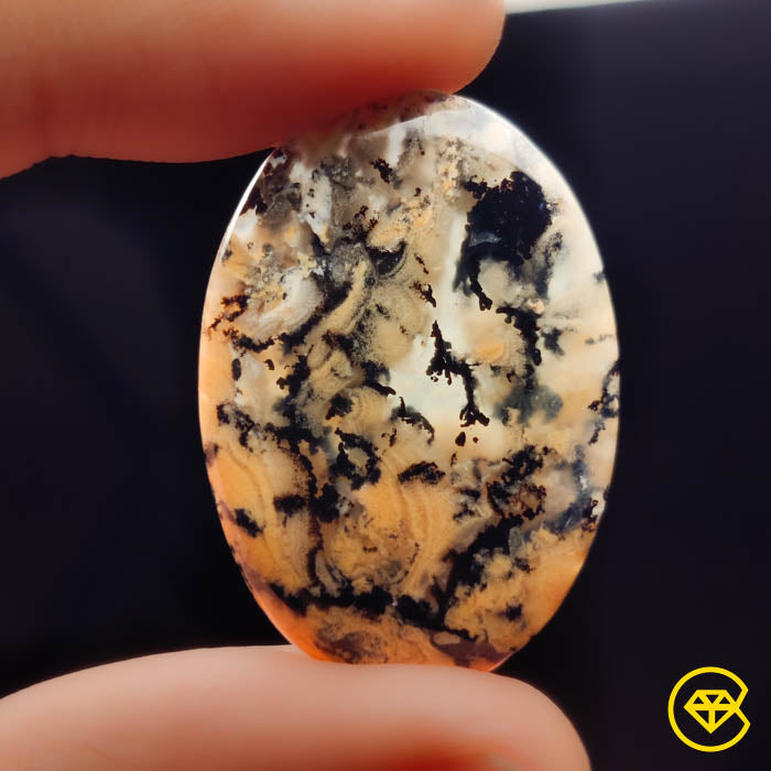 Dendritic Agate