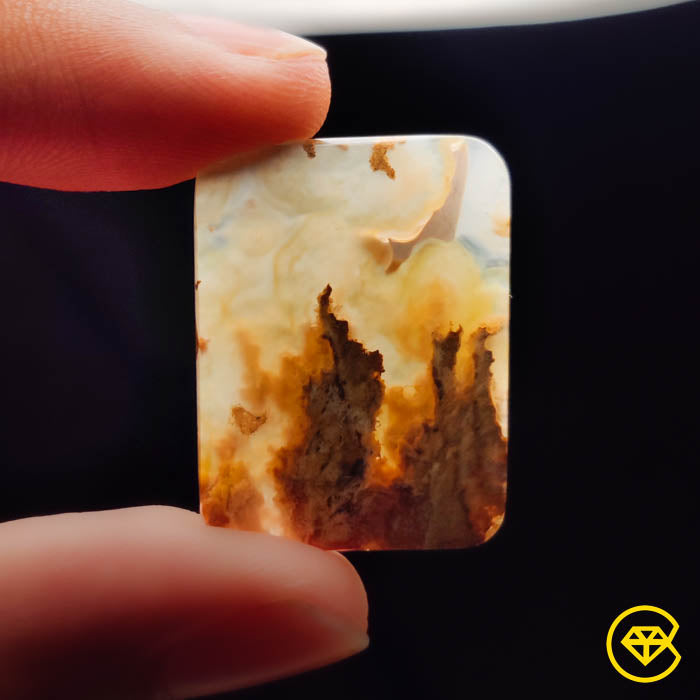 Plume Agate