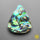 Abalone Shell