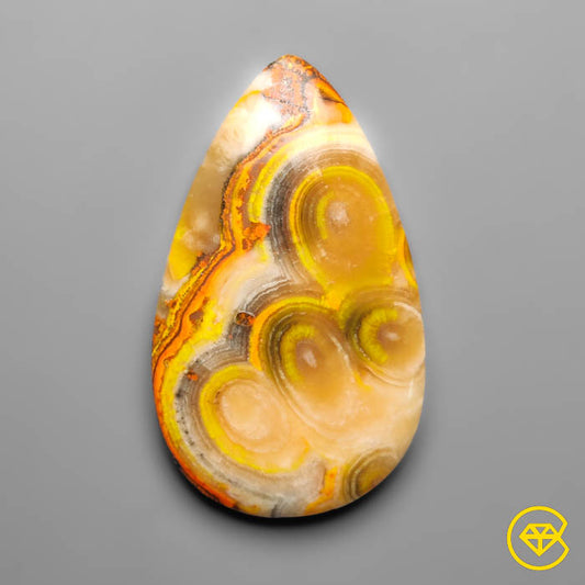 Bumble Bee Jasper