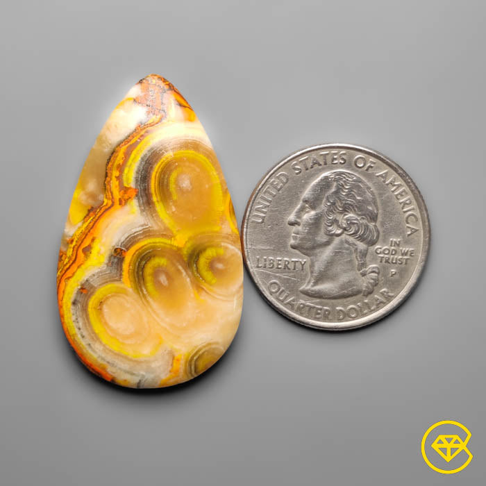 Bumble Bee Jasper