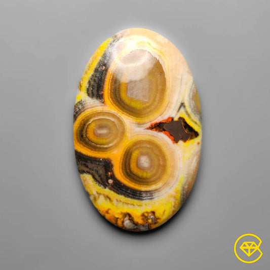 Bumble Bee Jasper