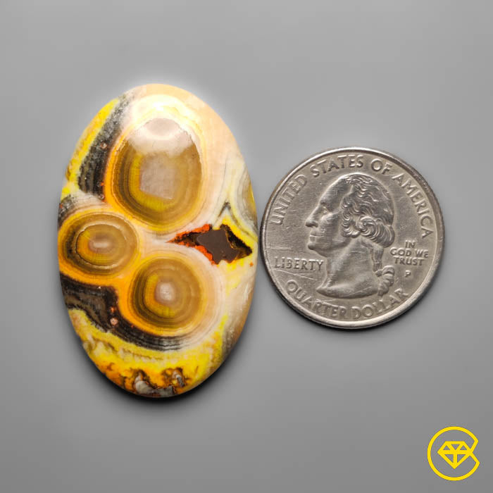 Bumble Bee Jasper