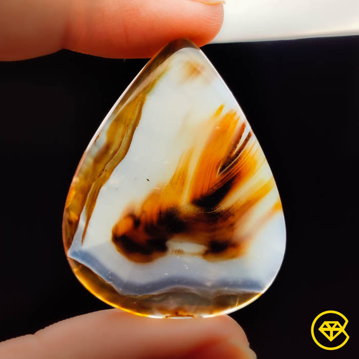 Montana Agate