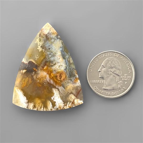 Agate|Plume Agate