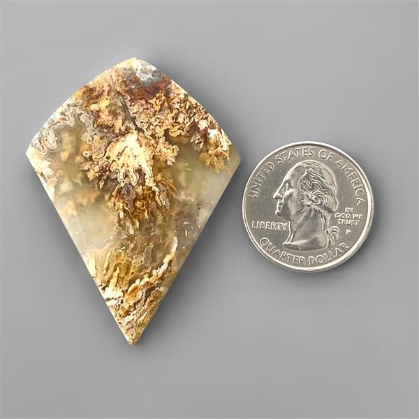 Agate|Plume Agate